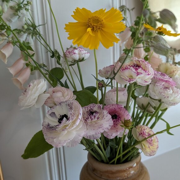 Meet your Posher, Heidi - Picture 1 of 1